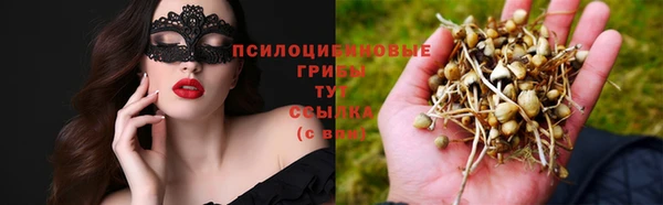apvp Арсеньев