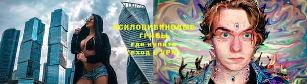 apvp Арсеньев