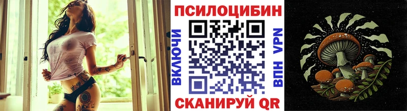 Галлюциногенные грибы MAGIC MUSHROOMS  закладка  Сергач 